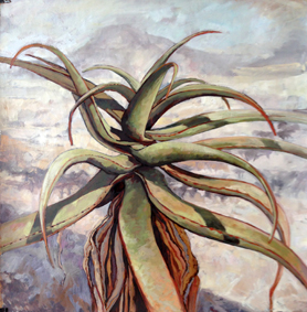 oils aloes